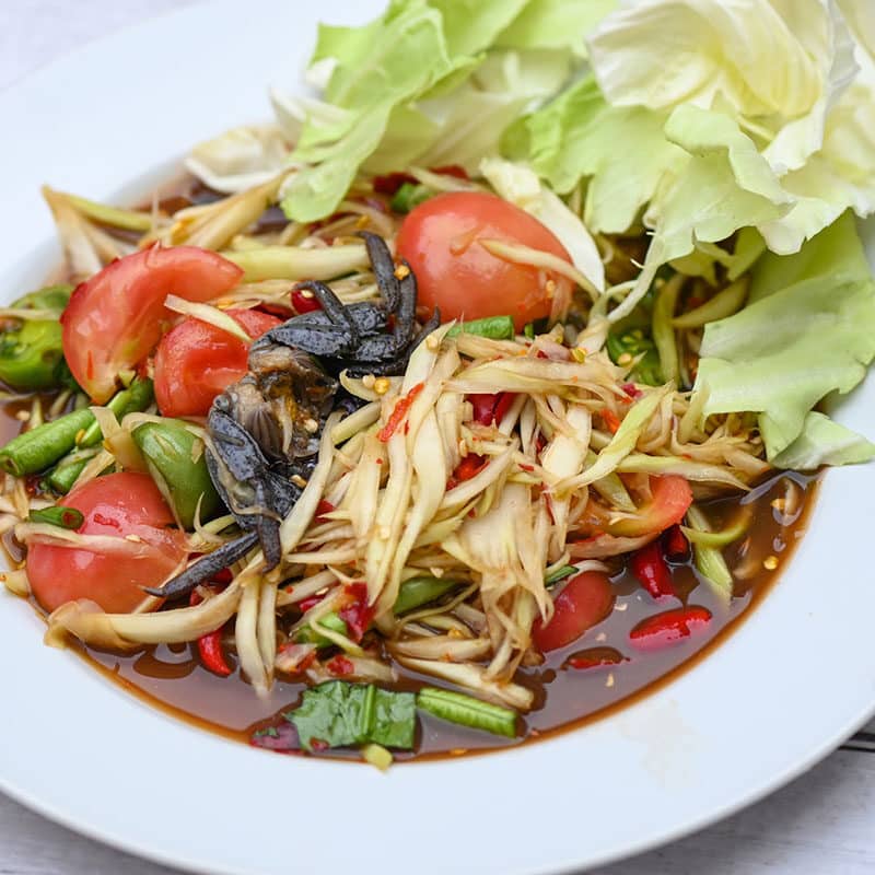 soft food recipes for seniors