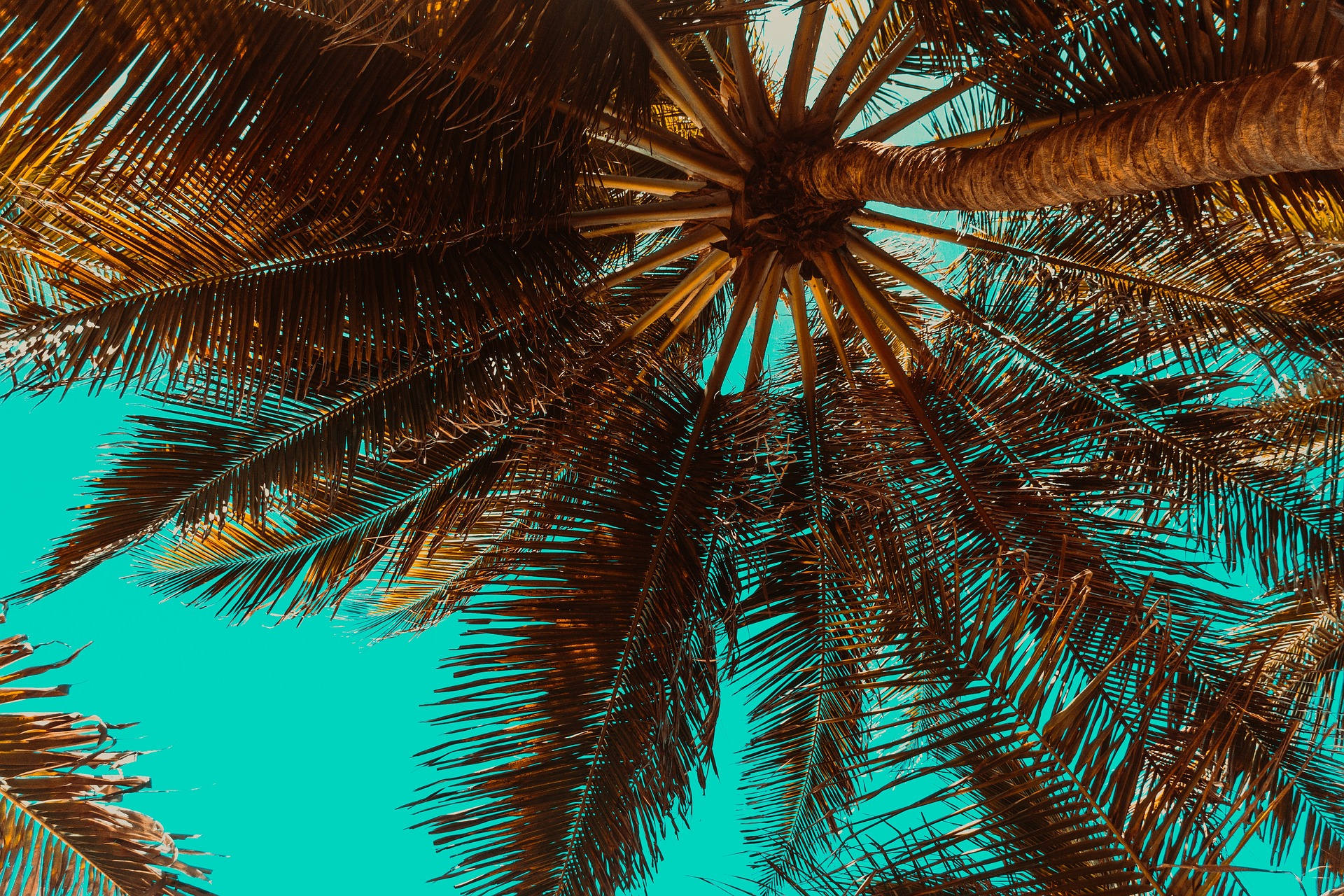 The Appeal of Sunrise, Florida for Senior Residents
