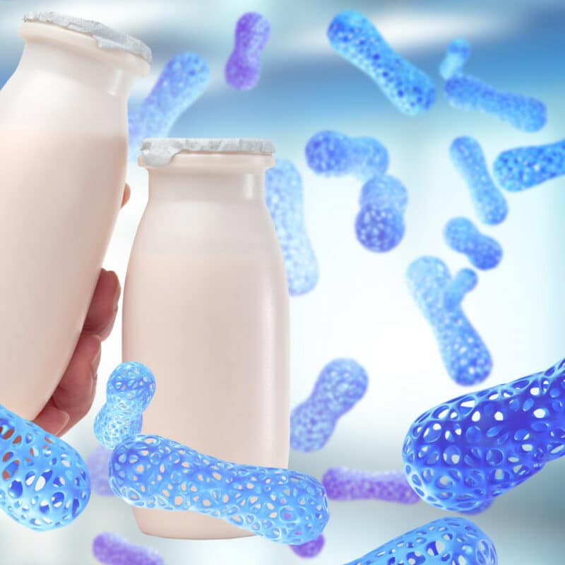 probiotics for seniors
